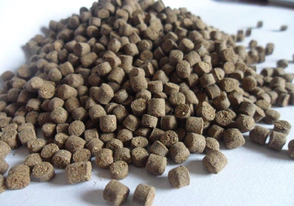 1646041155113253.jpg 代理進口飼料報關(guān)_副本.jpg