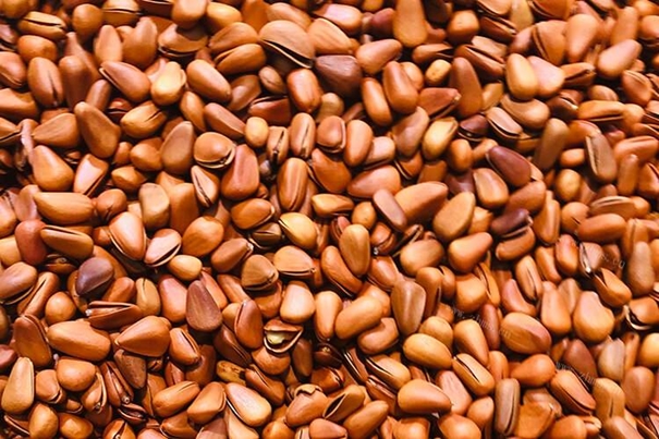 1638442810558980.jpg 進口松子報關公司有經驗的松子報關代理_副本.jpg