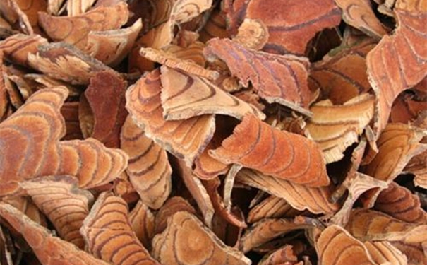 【進口中藥雞血藤清關代理】的流程，一般貿(mào)易進口雞血藤